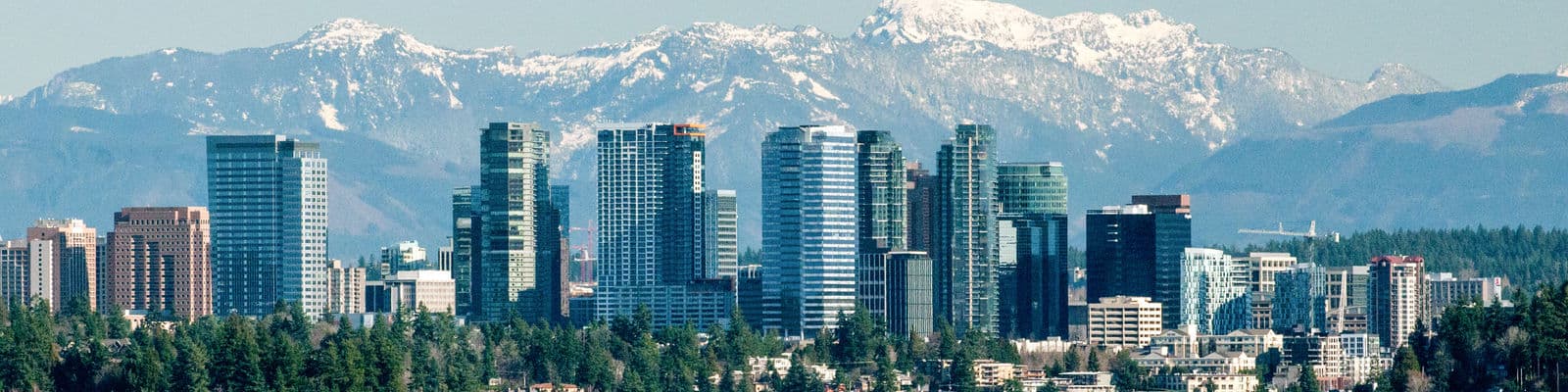 City of Bellevue Arts & Culture cityscape